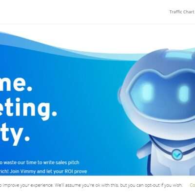 Vimmy.com Advertising Review : Made for Performance-Focused Customers