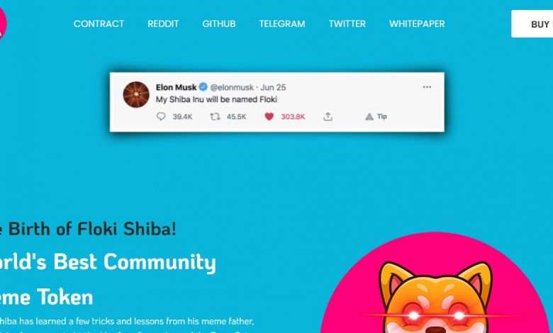 Flokishiba.com Defi Review: World's Best Community Meme Token