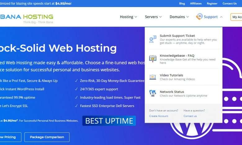 BanaHosting Advertising Review : 10% lifetime recurring commission on each sale