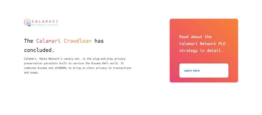 Calamari Network Defi Coin Review: The Calamari Crowdloan has concluded