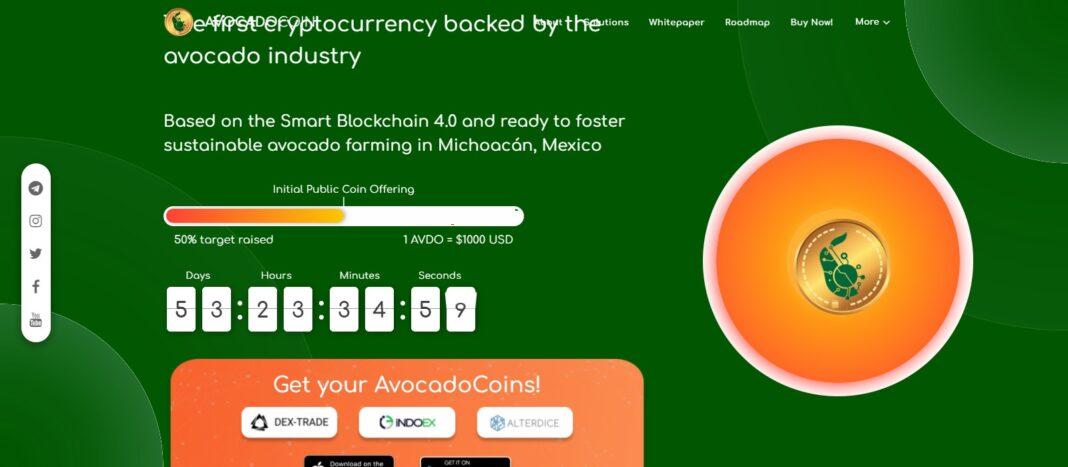 What Is AvocadoCoin (AVDO)? Coin Review? Guide About AvocadoCoin