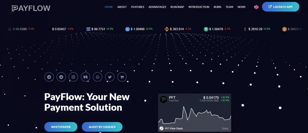 What Is PayFlow?(PFT) Coin Review? Guide About PayFlow