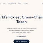 What Is Kyuubi?($KYUB) Coin Review? Guide About Kyuubi