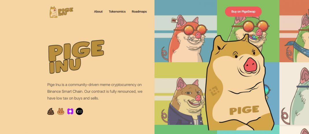 What Is Pige Inu(PINU)? Coin Review? Guide About Pige Inu