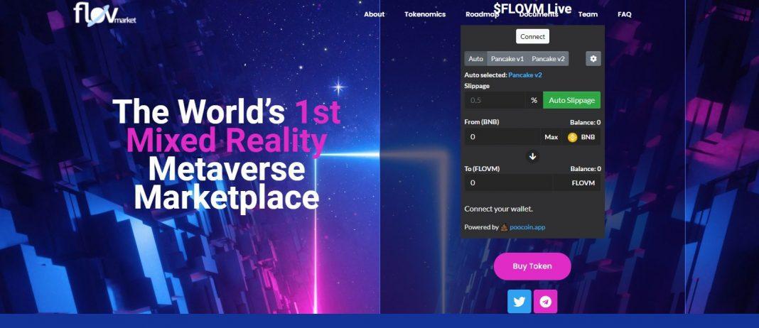 What Is Flov Market (FLOVM)? Coin Review? Guide About FLOV MARKET