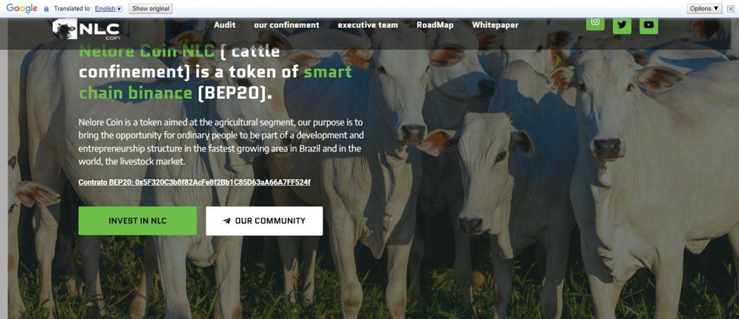 What Is Nelore Coin(NLC)? Complete Guide & Review About Nelore Coin