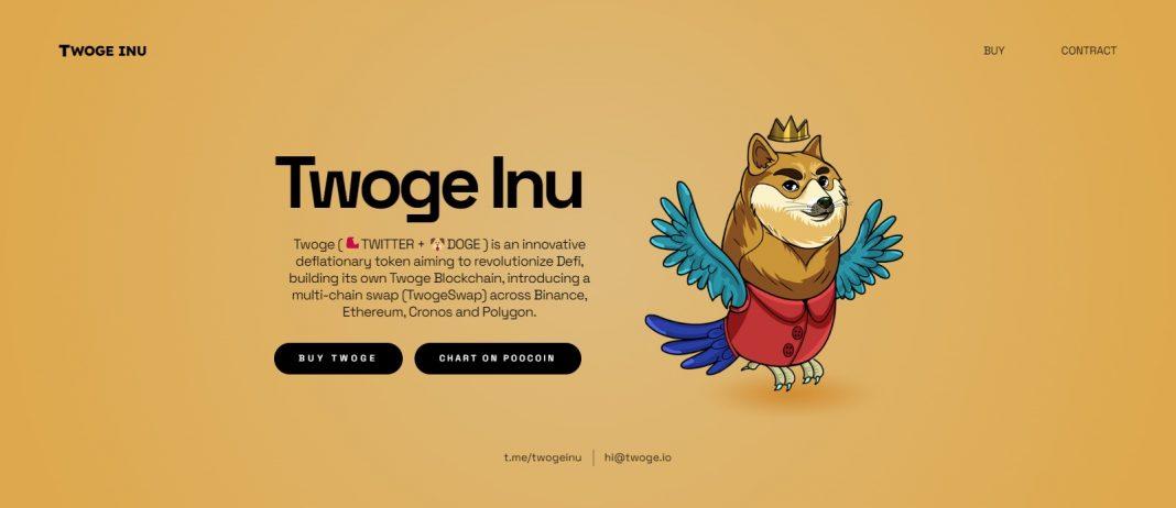 What Is Twoge (TWOGE)? Complete Guide & Review About Twoge