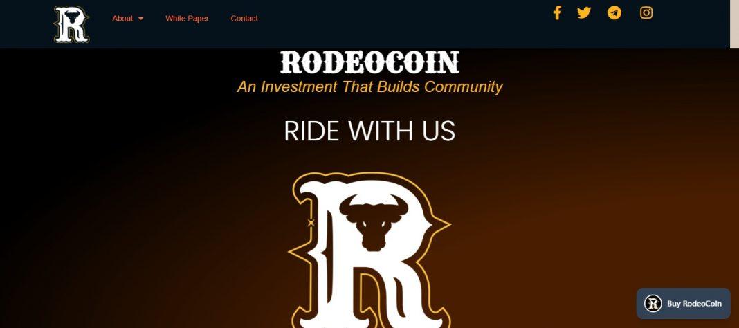 What Is Rodeo Coin(RODEO)? Complete Guide & Review About Rodeo Coin