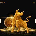 What Is OMEGA FINANCE(OMG)? Complete Guide & Review About OMEGA FINANCE