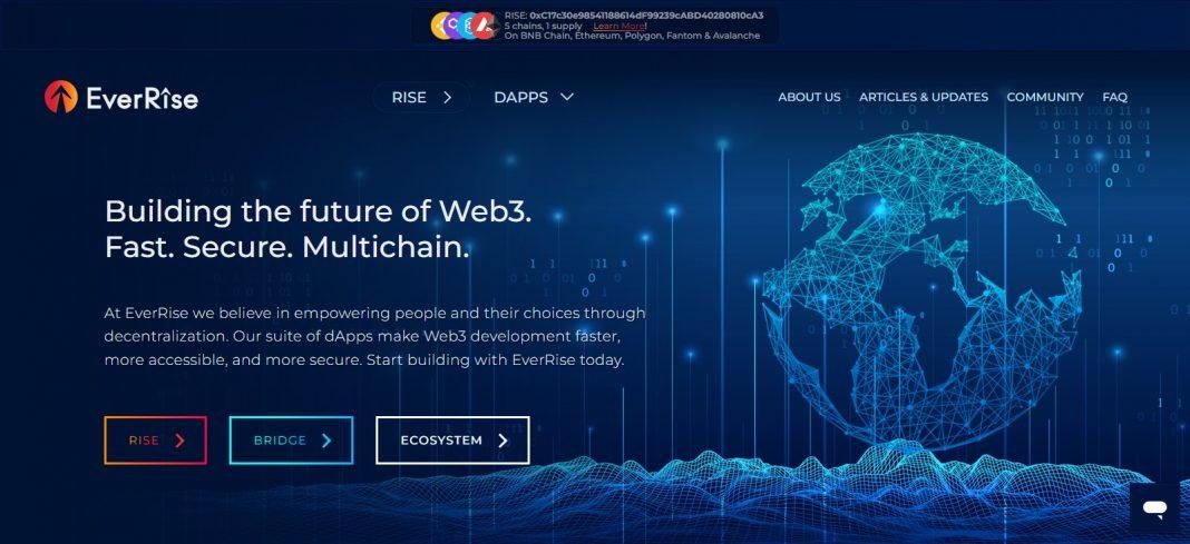 EverRise(RISE) Defi Coin Review