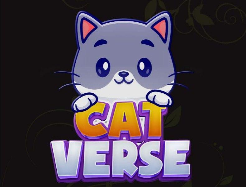What Is Catverse (CATVERSE)? Complete Guide & Review About Catverse
