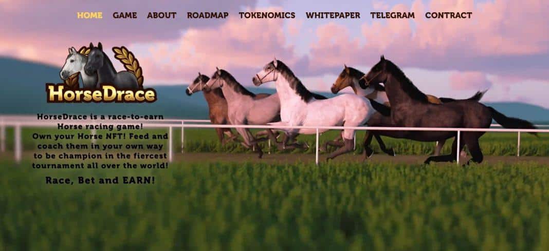 What Is HorseDrace (HORSEDRACE)? Complete Guide & Review About HorseDrace