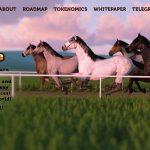 What Is HorseDrace (HORSEDRACE)? Complete Guide & Review About HorseDrace