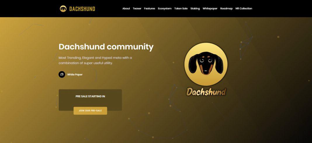 What Is Dachshund (DSD)? Complete Guide & Review About Dachshund