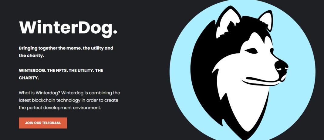Winterdog Coin
