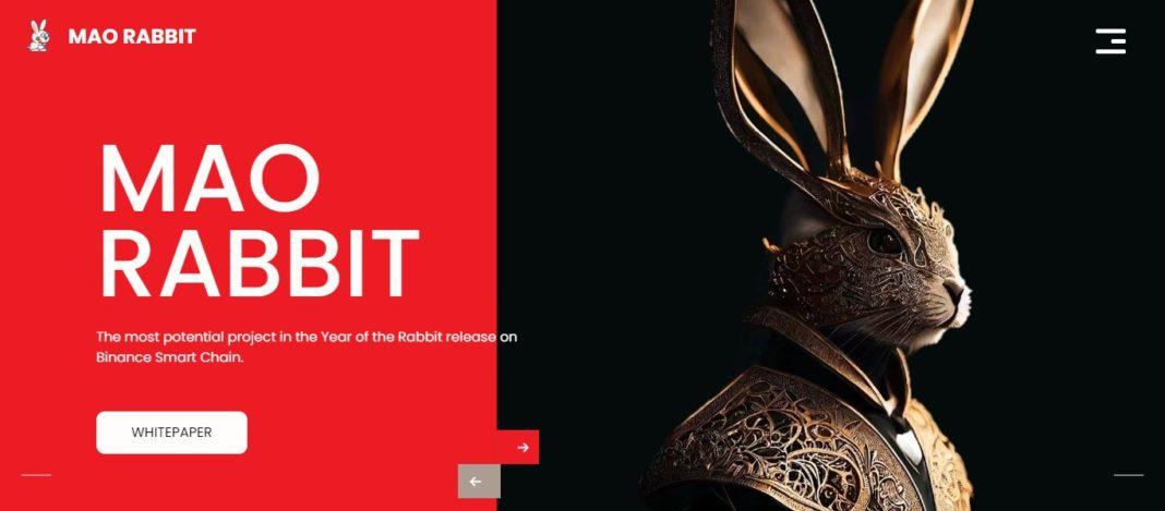 MaoRabbit Coin Review : Is It Good Or Bad Coin Read Our Article