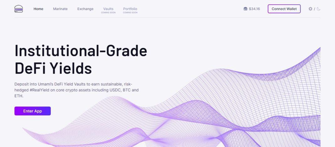 UMAMI Finance Coin Review : Is It Good Or Bad Coin Read Our Article