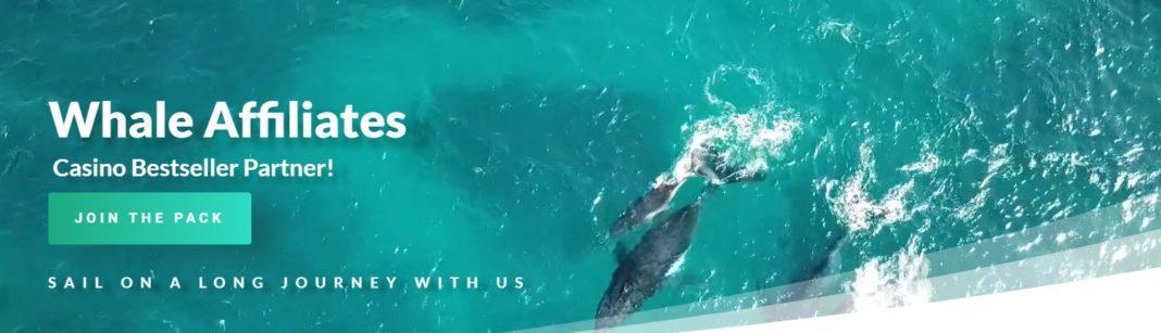 Whale Affiliate Program