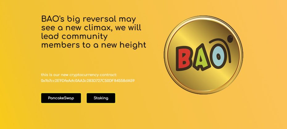 bao-coin-review-is-it-good-or-bad-coin-read-our-article