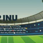 SoccerInu Coins