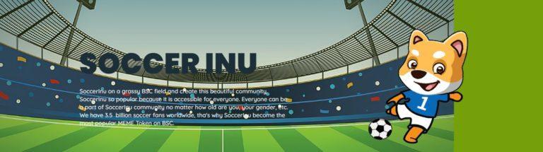 SoccerInu Coins
