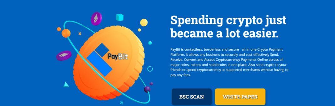 PayBit Coin