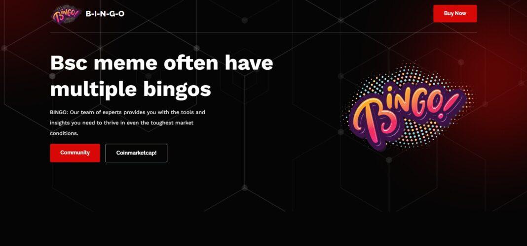 BINGO Review: Is It Good Or Bad Coin Read Our Article