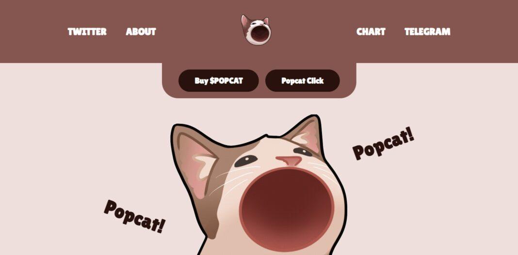 Popcat (POPCAT) Review : Is It Good Or Bad Coin Read Our Article