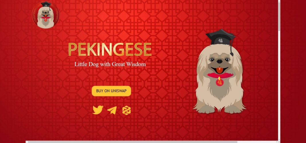Pekingese Review : Is It Good Or Bad Coin Read Our Article
