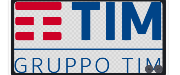 TIM (Telecom Italia Mobile)