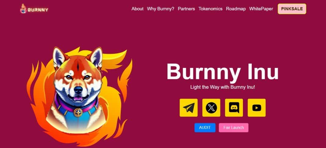 Burnny Inu Review : Is It Good Or Bad Coin Read Our Article