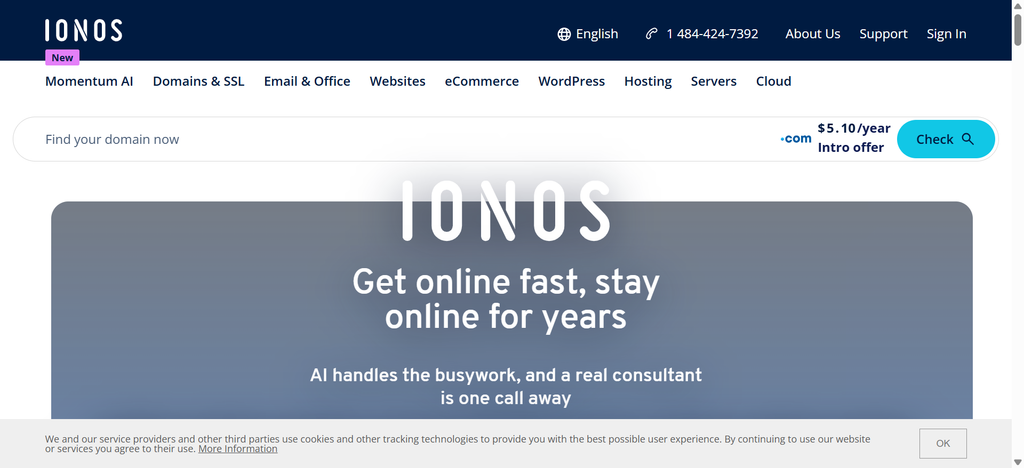 IONOS