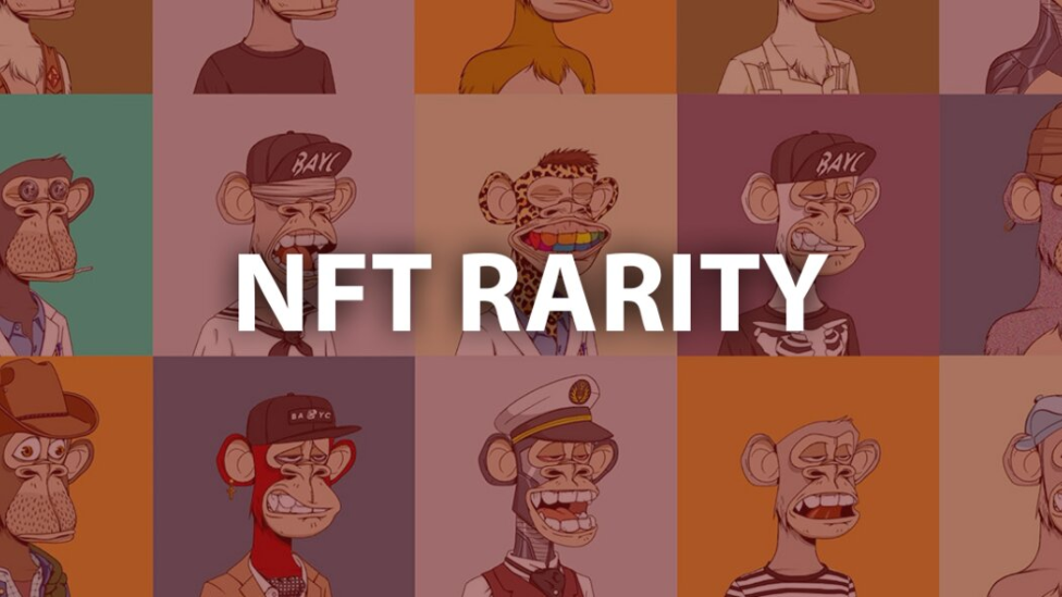 Rarity.Tools Best Aggregator for NFT Price Tracking