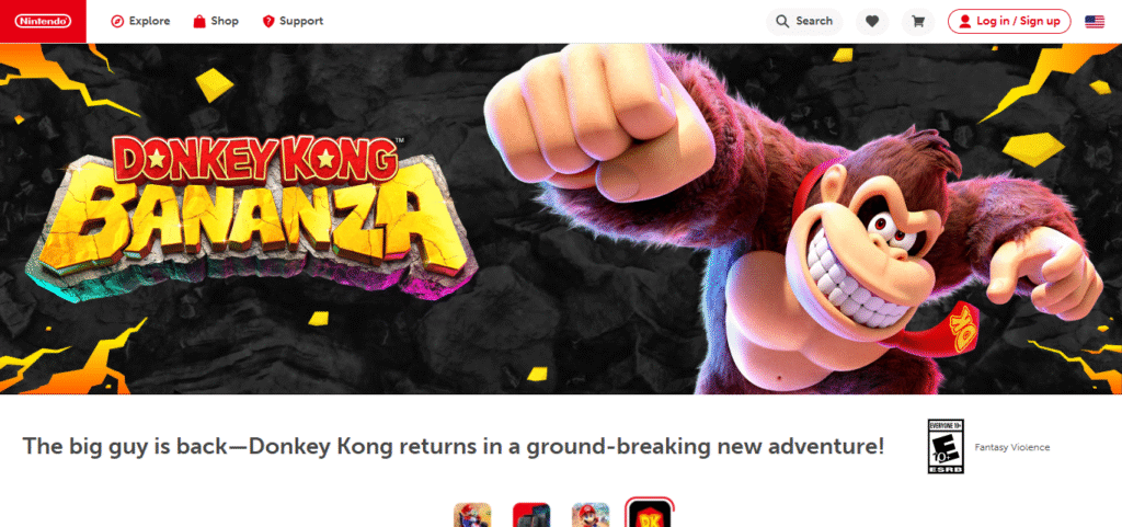 Nintendo
