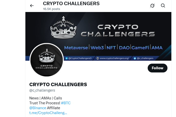 Crypto Challengers 