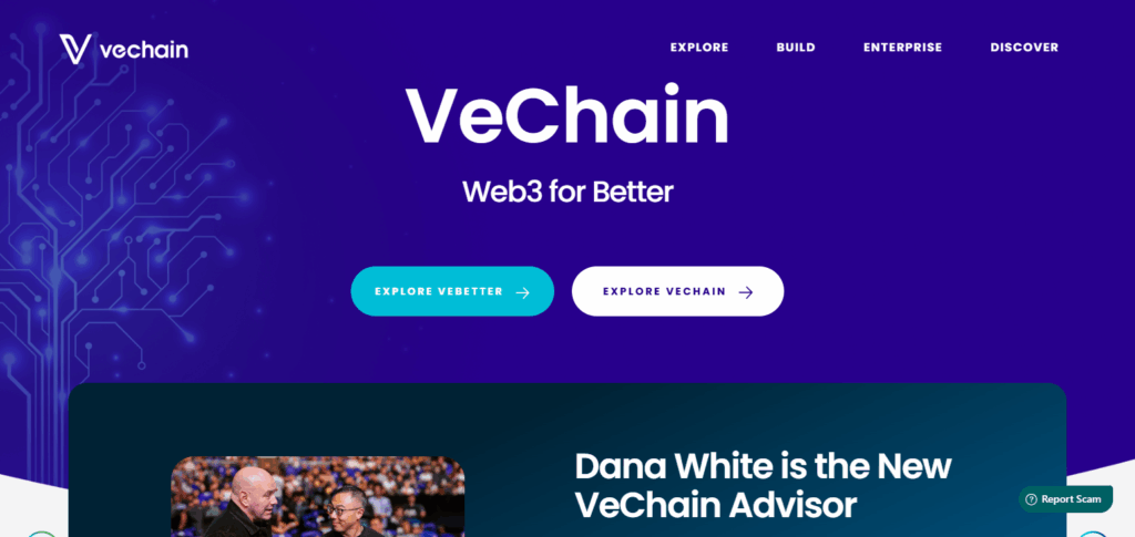 8.VeChain (VET)