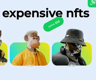 What is Expensive NFTs?