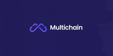 Multi-Chain Governance