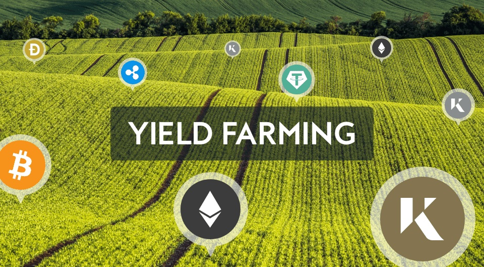 Real Yield Farming