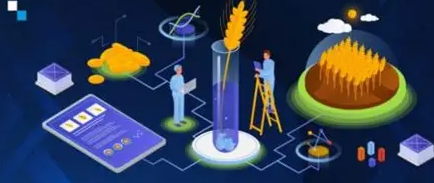 DeFi Options Farming