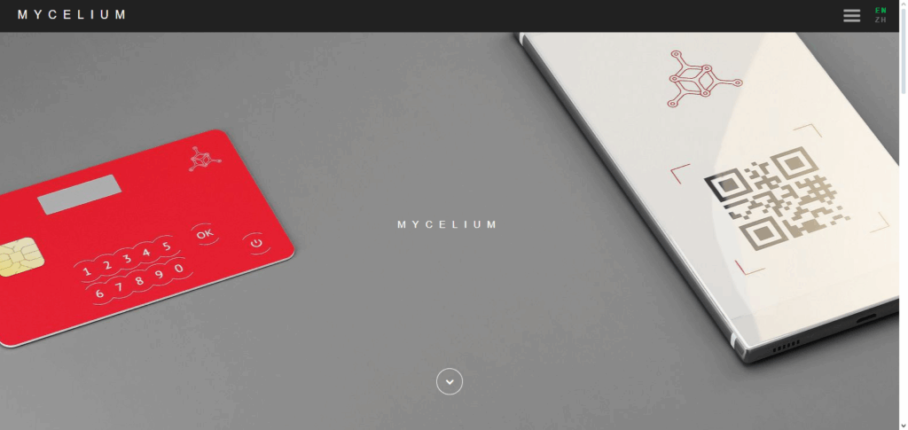 Mycelia (MYC)