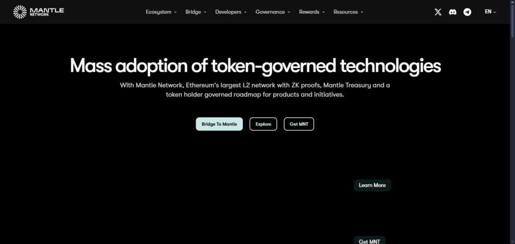 Mantle Network