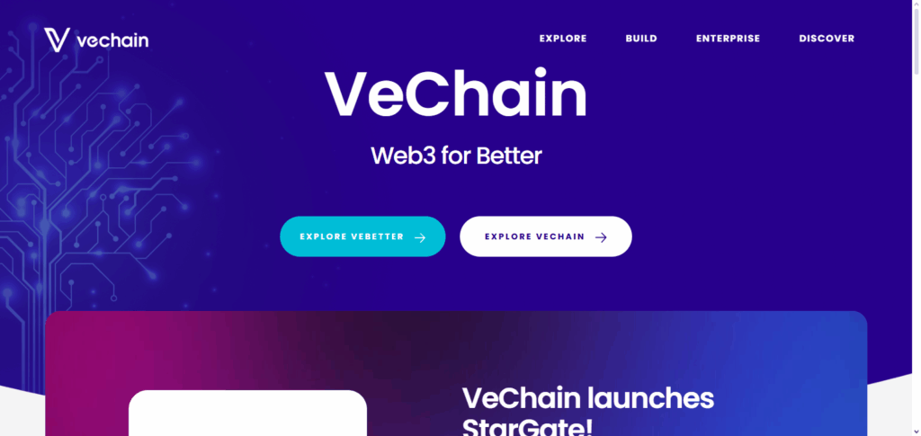 VET (VeChain)
