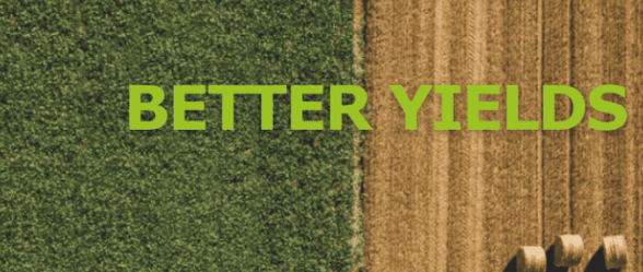 Better Yield Opportunities