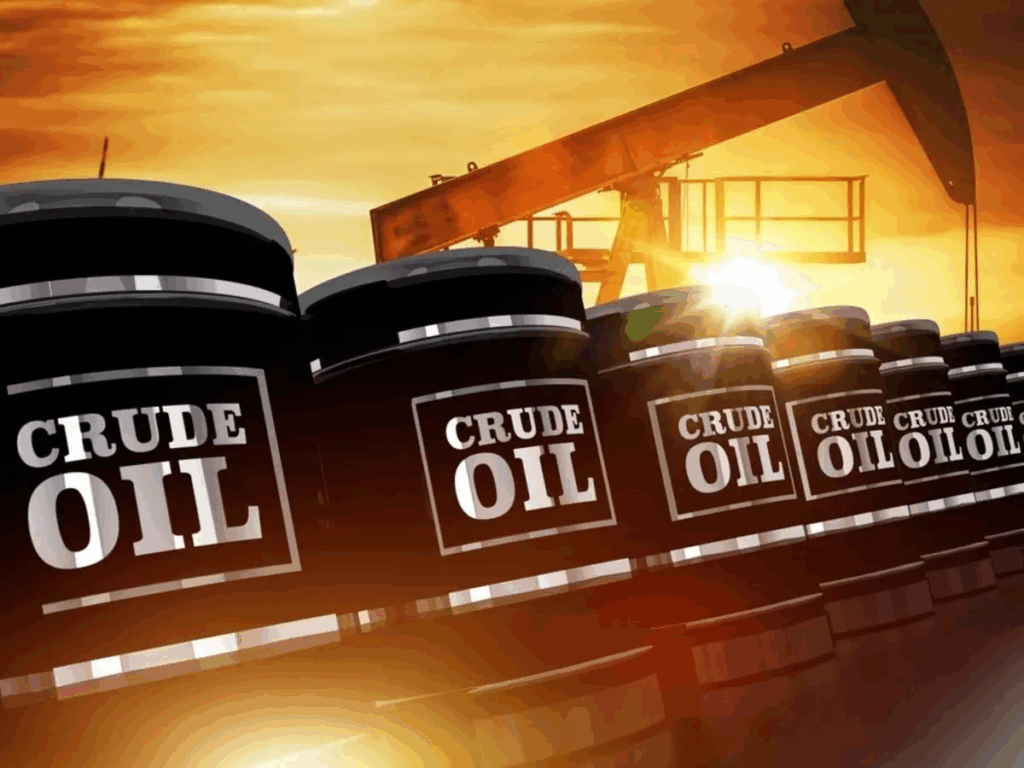 What is Crude Oil?