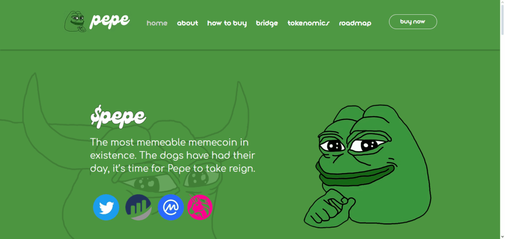 What is Pepe Coin ?