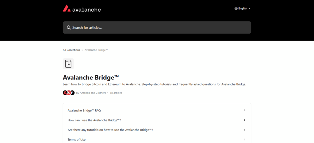 Avalanche Bridge