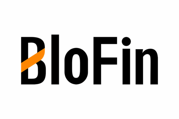 10 Best Blofin Crypto Exchange Alternatives