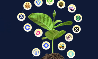 How to Automate Yield Farming with the Best Aggregator Tools