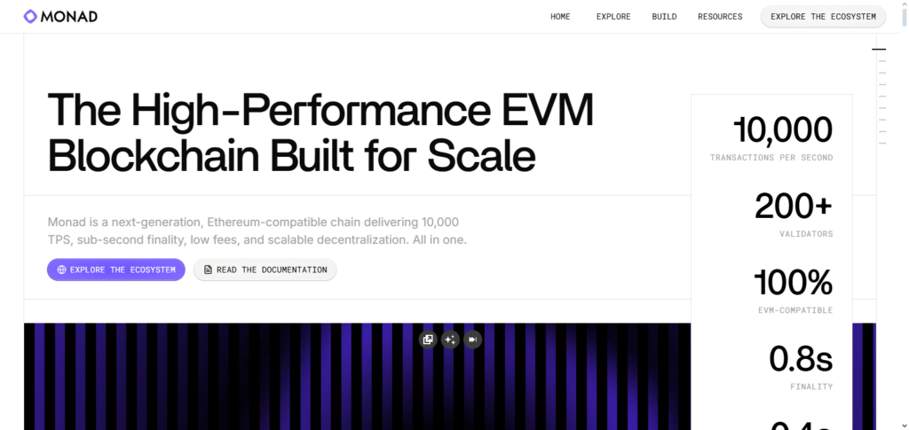 Step 8. Make Sure You Have the Funds in Monad